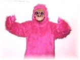 Lovin' Pinkie, The Pink Gorilla Singing Telegram
<a><BGSOUND src=