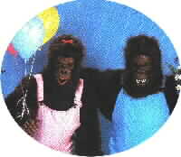 Gorilla Singing Telegram
<a><BGSOUND src=